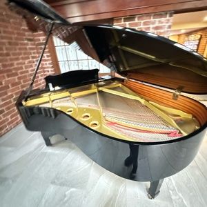 Meet your Posher, Marlin